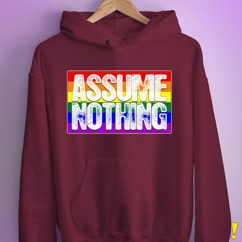 Assume Nothing LGBTQ Pride Flag Hoodie - Maroon